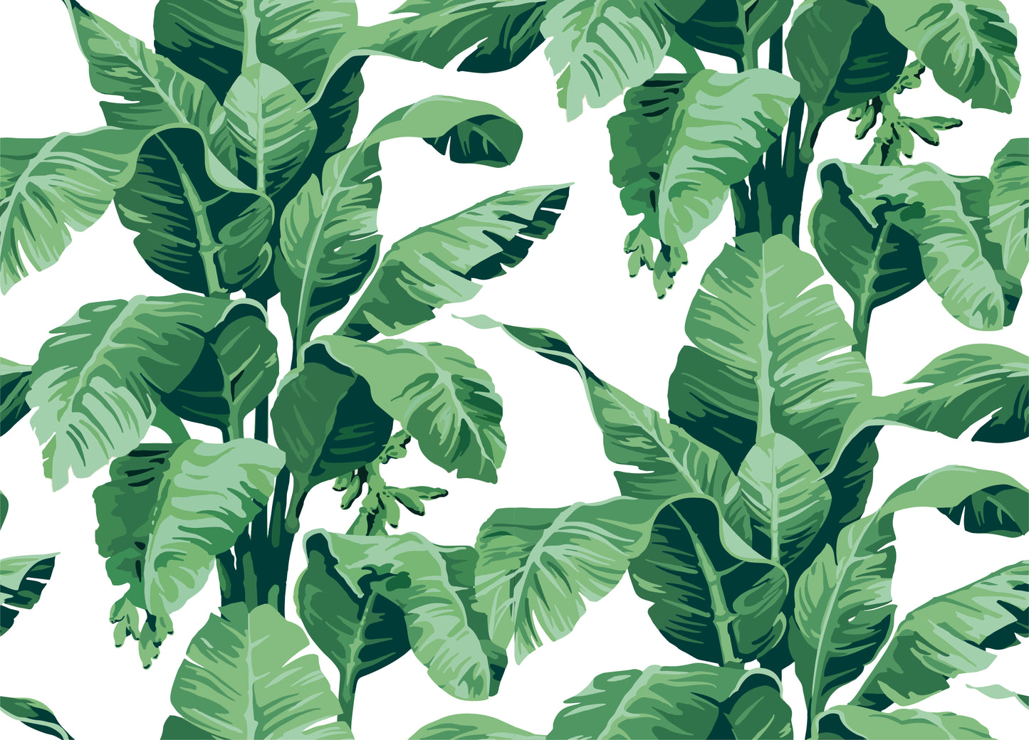Papel mural Monstera verde