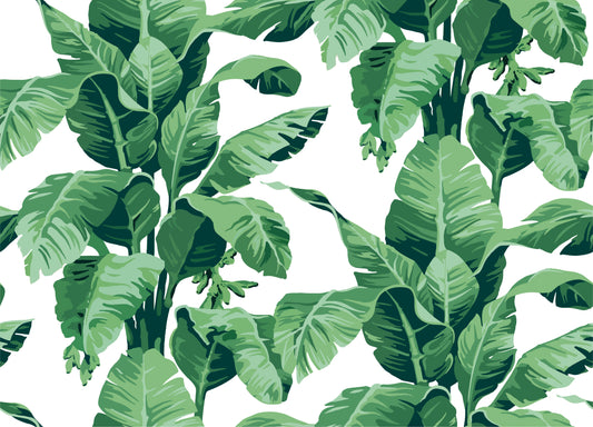 Papel mural Monstera verde